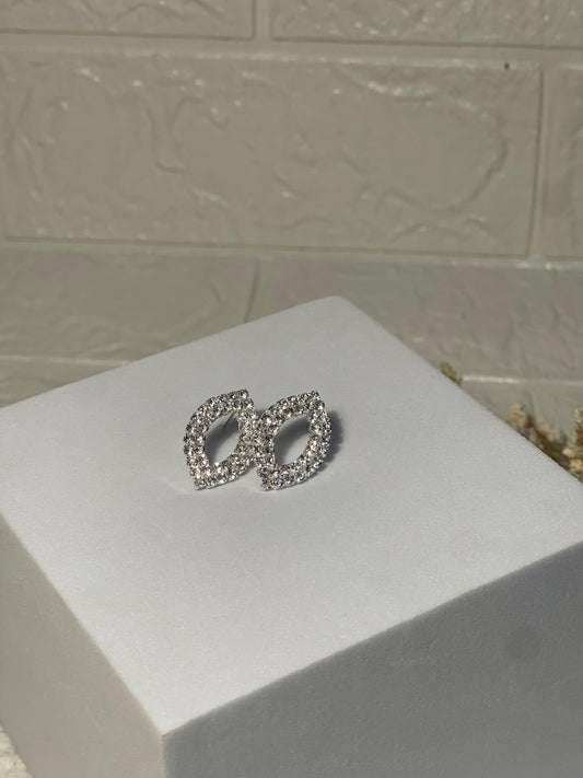 Silver Earrings (Zartabbano)