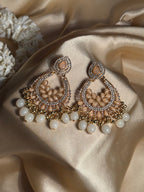 Nilofer khass collection-gold and grey