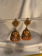 Patti Rang-e-desi brown