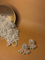 Dilnaz sea green and peach - NAZ collection