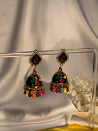 Patti Rang-e-desi multi