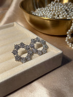 Silver Shine - rozana