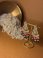 Mehnaz green and maroon - NAZ collection