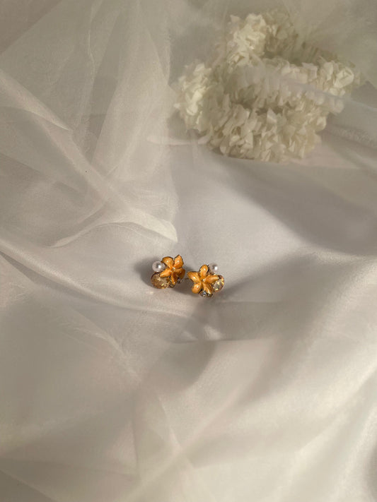 Mini hibiscus (yellow)