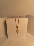 Gold Chain Locket (Clear drop)