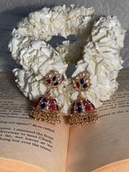 Aneela 2.0 Jhumki multi(Mahnoorbano)