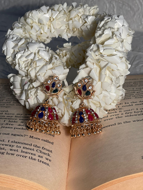 Aneela 2.0 Jhumki multi(Mahnoorbano)