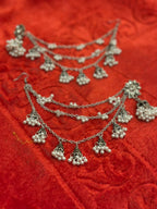 floral cage with saharay (bundle)